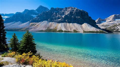 Lake With Clear Blue Water Rocky Mountains Pine Trees Canada Beautiful