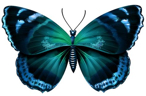 Butterfly Clip Art Blue Butterfly Transparent Png Image Png Download