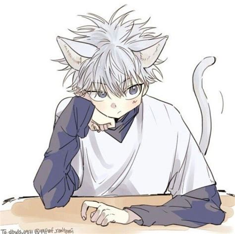 Neko Killua Cat Hunterxhunter Hunter X Hunter Hunter