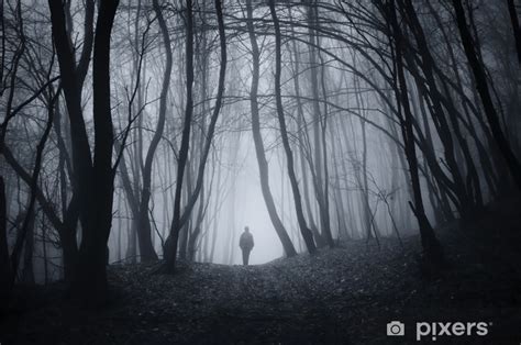 Man Walking On A Dark Path Through A Spooky Forest Sticker Pixers