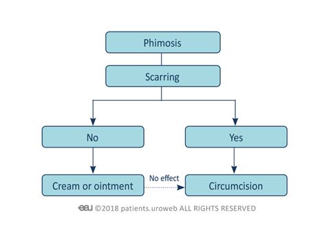 Phimosis Patient Information