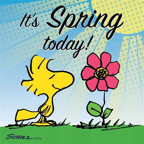 It Spring Today Snoopy Spring Peanuts Gangwoodstock Peanuts