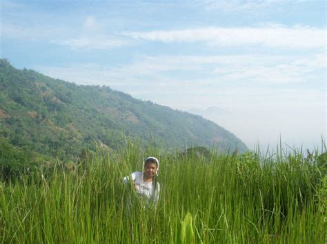 Berikut ini adalah lima buah yang akan membuat wajah anda bebas dari jerawat. pelangi di atas bukit: Buah buahan untuk Kosmetik