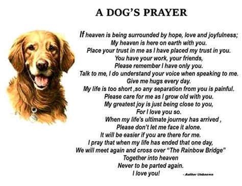 Prayer For Sick Pet Dog Prayer For Healing A Sick Dog Pet So I
