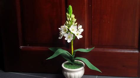 Check spelling or type a new query. How To Make Star Of Bethlehem Paper Flower From Crepe ...