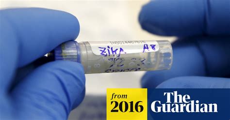 Sexually Transmitted Zika Case In Us Turns Attention To How Virus Can