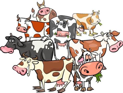 Best Clip Art Of Silly Cow Illustrations Royalty Free Vector Graphics