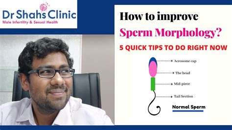 How To Improve Sperm Morphology Dr Shahs Clinic YouTube
