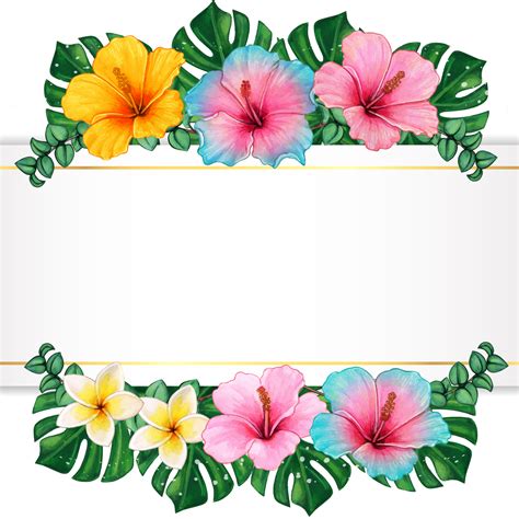 Tropical Png Tropical Frame Png Tropical Summer Frame