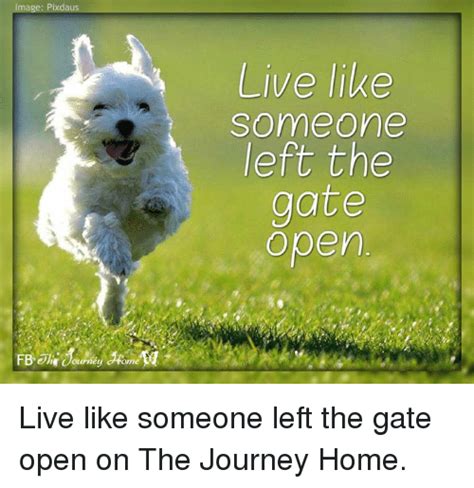 Mage Pixd Live Like Someone Eft The Gate Open Live Like Someone Left