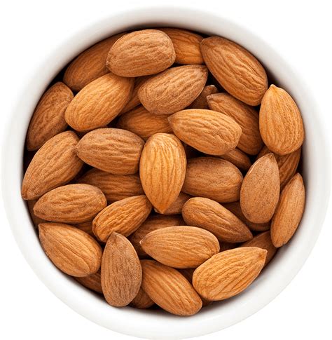 Almond Png Images Transparent Background Png Play