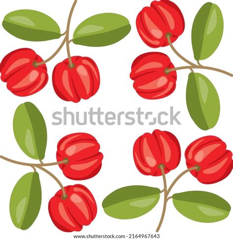 Grown In Brazil Over Royalty Free Licensable Stock Vectors Vector