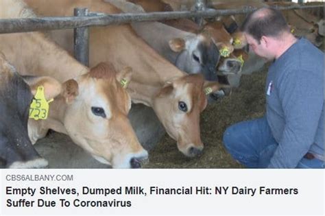 Media Interviews About Dairy American Dairy Association NE