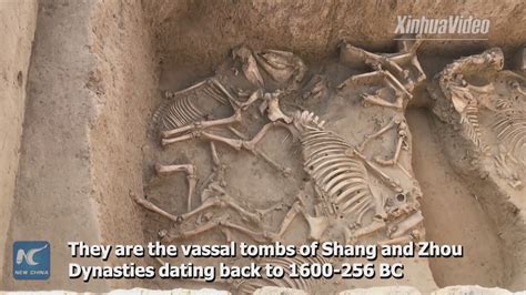 ancient tombs excavated in nw china belong to shang and zhou vassals youtube