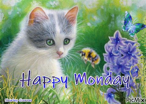 Cat Happy Monday Animation Pictures Photos And Images For Facebook