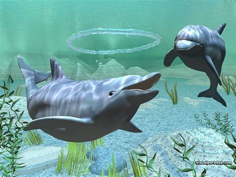 Fish Dolphins Underwater 1920x1200 Wallpapers Animals Dolphins Hd