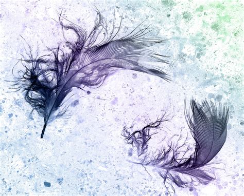 Feathers Abstract Colorful Background Free Stock Photo Public Domain