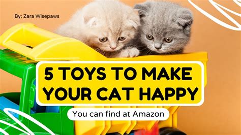 How to Get Your Cat to Play Games- Amazon Best Selling Cat Toys and