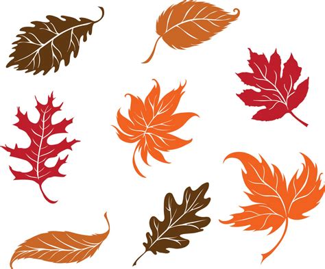 Assorted Fall Leaves Set Of 20 Wall Or Window Decals Autumn Etsy