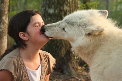 White Wolf 15 Most Amazing Pictures Of Wolf Human Interaction
