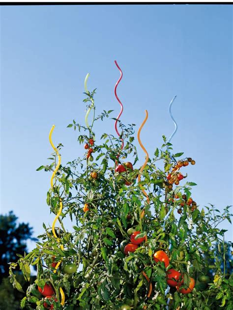 Tomato Stakes Rainbow Spiral Plant Supports