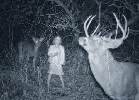 Trail Cams Capture Real Wild Life Photos Page Herald Weekly