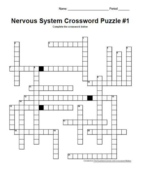 Nervous System Crossword Puzzle Set 1 Amped Up Learning