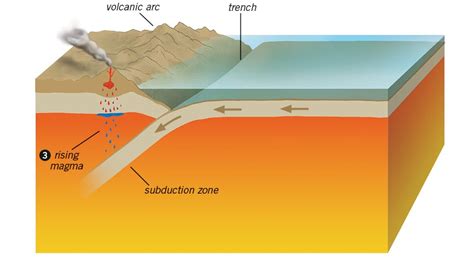 How Did Plate Tectonics Get Started On Earth Answers In Genesis