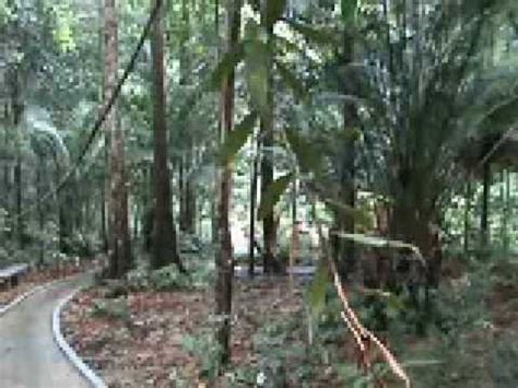 Book recreational activities at blue heaven divers, tioman dive centre + scuba & snorkeling. Endau Rompin National Park - YouTube