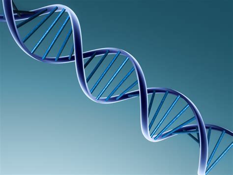 Double helix. Causes, symptoms, treatment Double helix