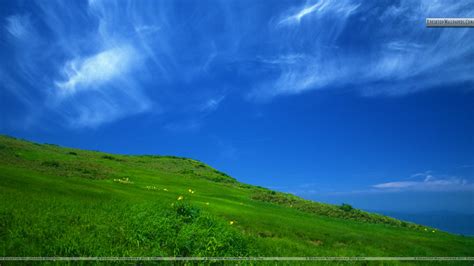 Free Download Clear Sky In A Sunny Day Wallpaper 1920x1080 For Your