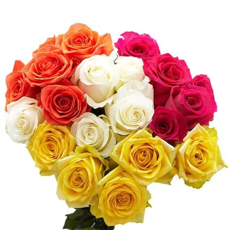 Globalrose 50 Stems Of Assorted Roses 2 Different Colors Fresh