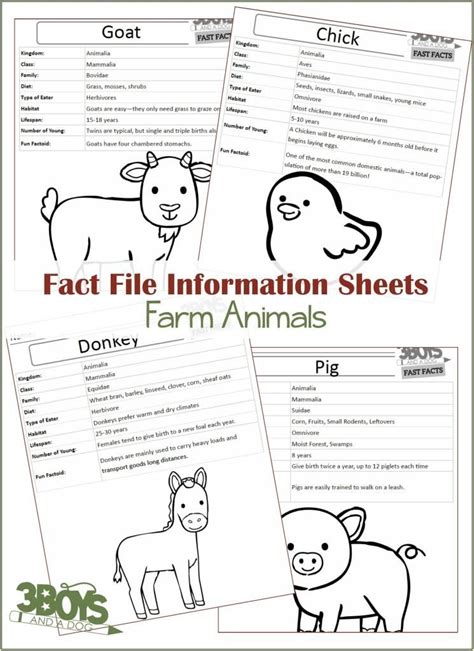 Looking for interesting facts about the white house? Farm Animals Fact Files | Animal fact file, Animal facts ...