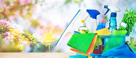 Maybe you would like to learn more about one of these? Professional Housekeeping Services • Viola Cleaning