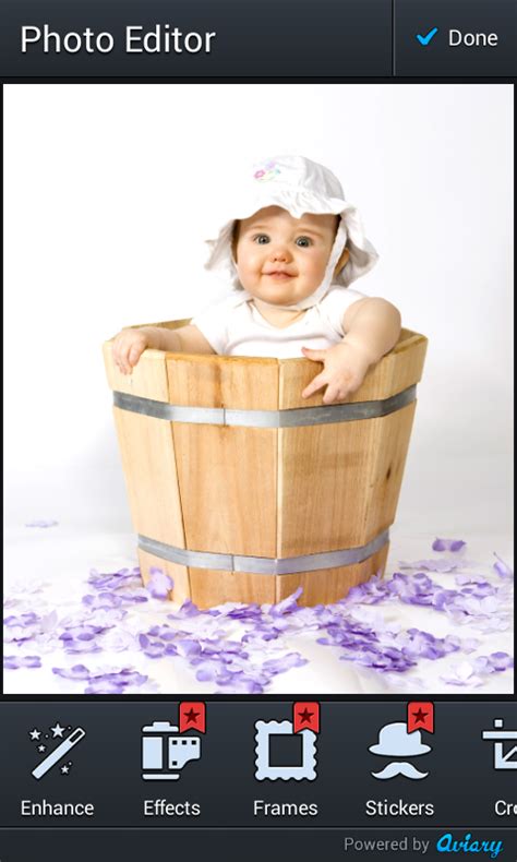 Funny Baby Photo Montage