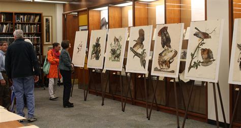 Celebrate ‘birds Of America At Ulss Audubon Day On Nov 5