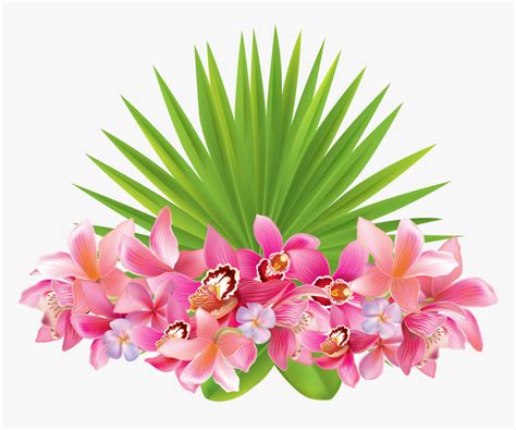 Hawaii Clipart Hawaiian Flower Tropical Flowers Transparent Background Hd Png Download