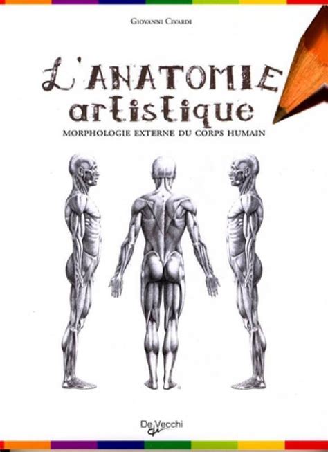 Lanatomie Artistique G Civardi Librairie Eyrolles