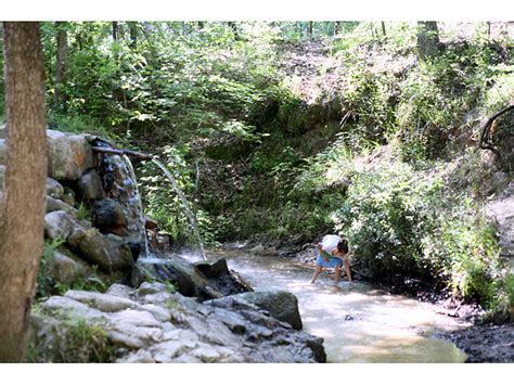 Angelina national forest is a united states national forest, one of four located in texas. Angelina National Forest, a Texas National Forest located ...