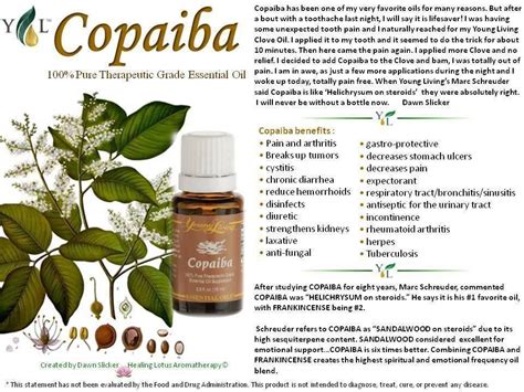 11,205 likes · 47 talking about this · 734 were here. Young Living Copaiba Essential Oil | Copaiba essential oil ...