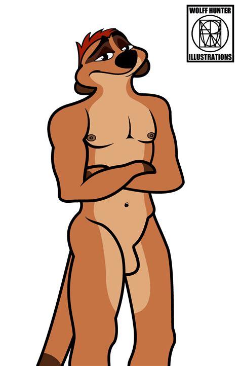 Rule 34 Anthro Furry Lion Male Male Only Solo Male The Lion King Timon Wolffhunter Art 4955019