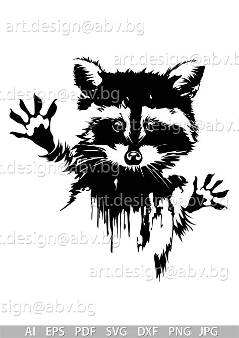 Raccoon Drawing, Raccoon Art, Stencil Graffiti, Graffiti Art, Racoon
