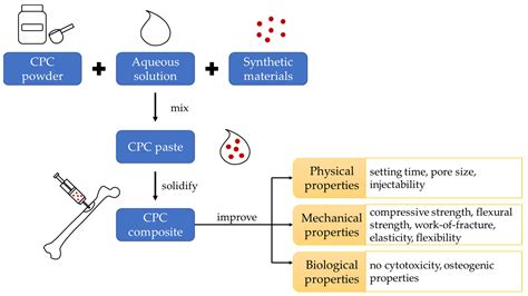 Ijms Free Full Text The Osteogenic Properties Of Calcium Phosphate
