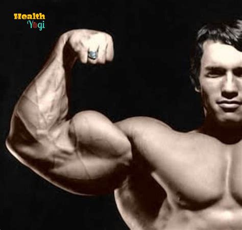 Arnold Schwarzenegger Workout Routine Train A Like A Arnold Health Yogi