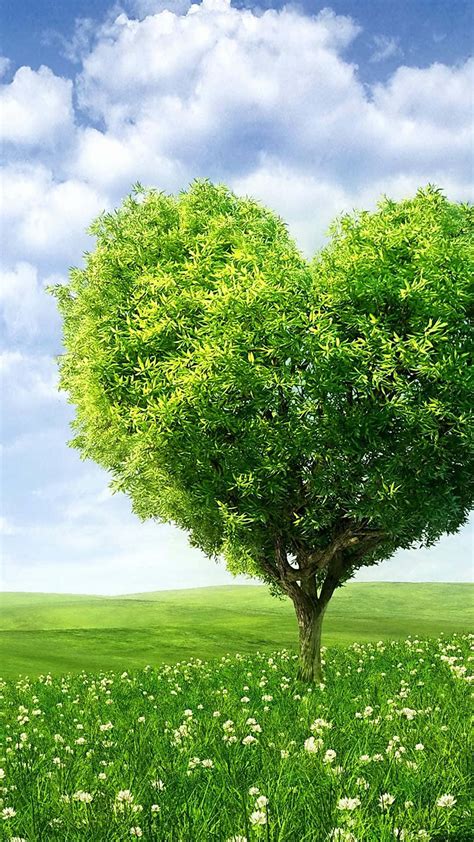 Download Heart Shaped Tree For Android Nature Wallpaper