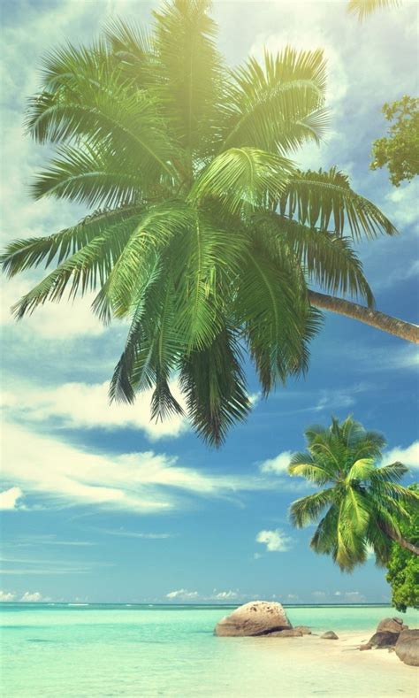 Beautiful Tropical Beach Landscape Iphone Wallpapers Mobile9 Nature