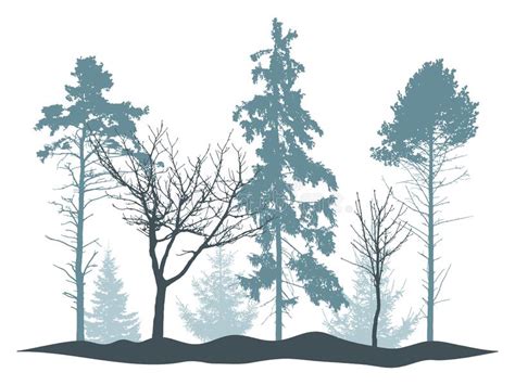 Winter Woodland Silhouette Of Snowy Fir Trees Pine Poplar Beautiful