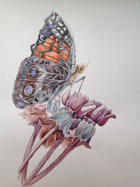 39 Butterfly Paintings Realistic Ideas Butterfly Painting