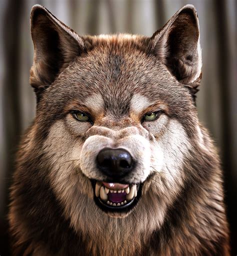 Wolf Snarl