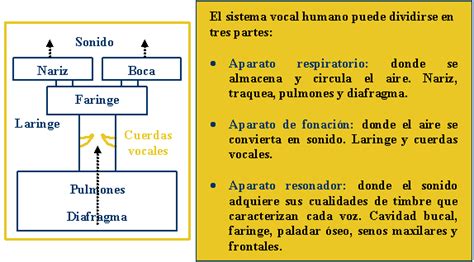 Check spelling or type a new query. La voz humana